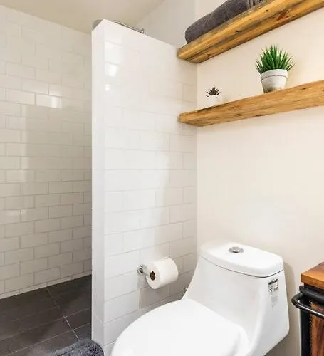 Apartamento A Hip Modern Gem In El Centro! México DF
