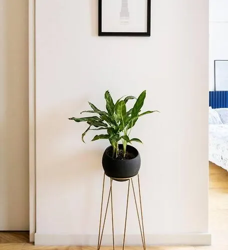 A Hip Modern Gem In El Centro! Apartamento